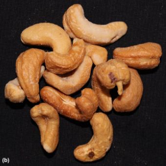 Cashews Nut Whole-1x1kg01